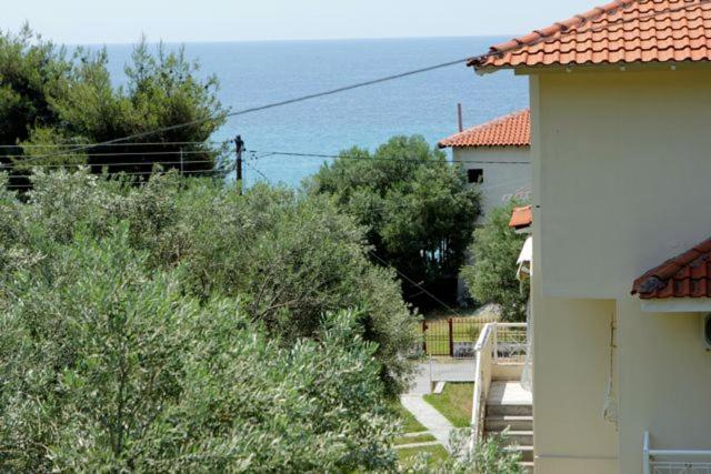 Petradaki *